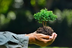 environment_GettyImages-501231894